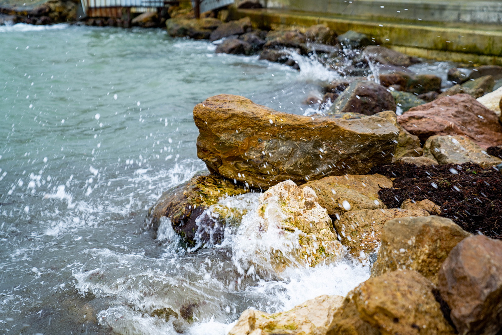 DSC03314